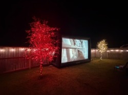 Viewsonic Projector and Screen